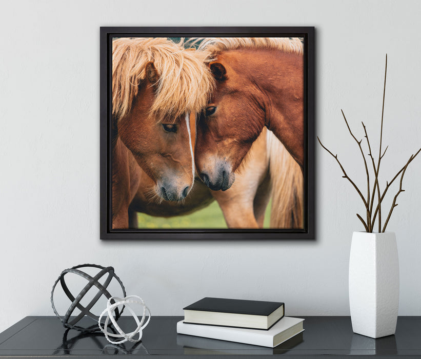 zwei schmusende Pferde  auf Leinwandbild Quadratisch gerahmt mit Kirschblüten