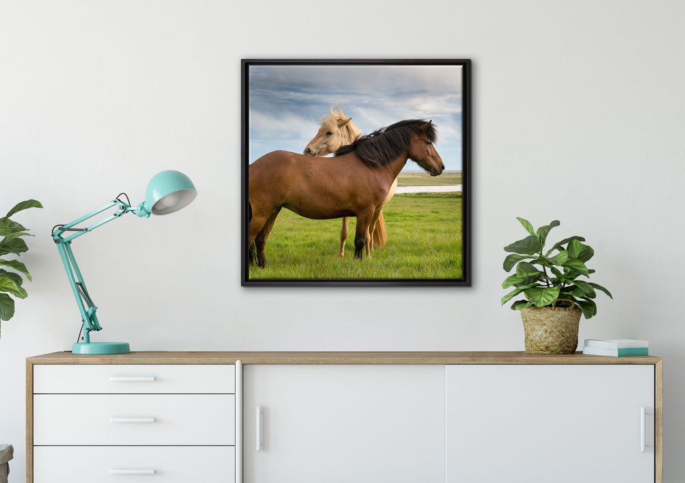 zwei Pferde auf der Wiese auf Leinwandbild gerahmt Quadratisch verschiedene Größen im Wohnzimmer