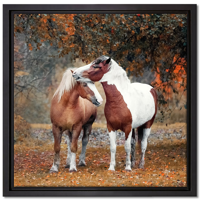 zwei schmusende Pferde auf Leinwandbild Quadratisch gerahmt Größe 40x40