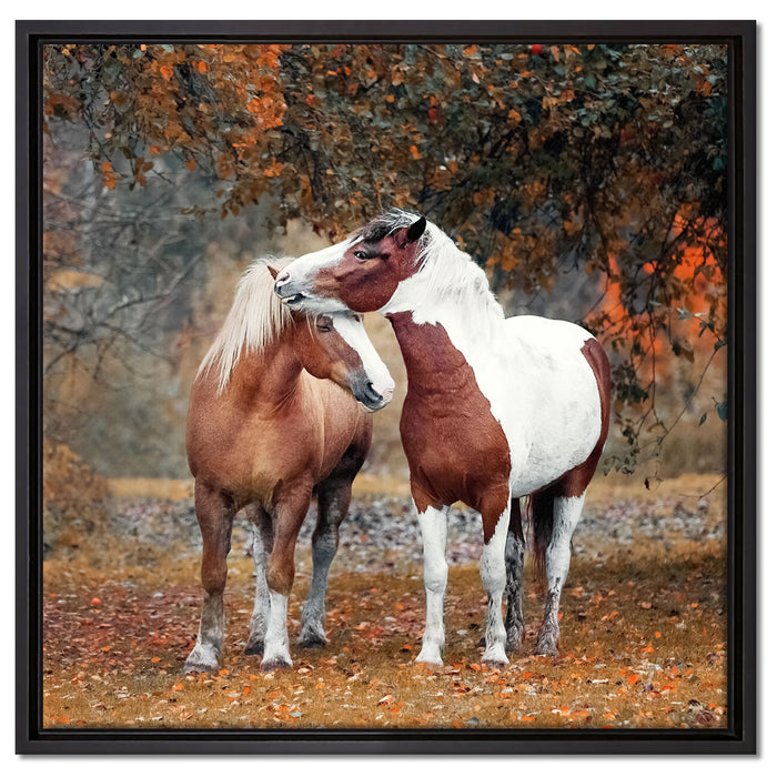 zwei schmusende Pferde auf Leinwandbild Quadratisch gerahmt Größe 60x60