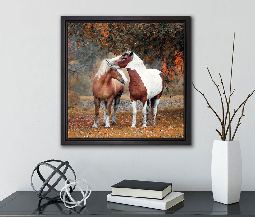 zwei schmusende Pferde  auf Leinwandbild Quadratisch gerahmt mit Kirschblüten
