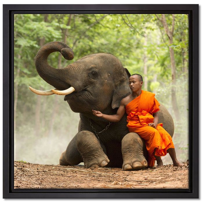 Mönch Elefanten Wald auf Leinwandbild Quadratisch gerahmt Größe 40x40