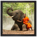Mönch Elefanten Wald auf Leinwandbild Quadratisch gerahmt Größe 40x40