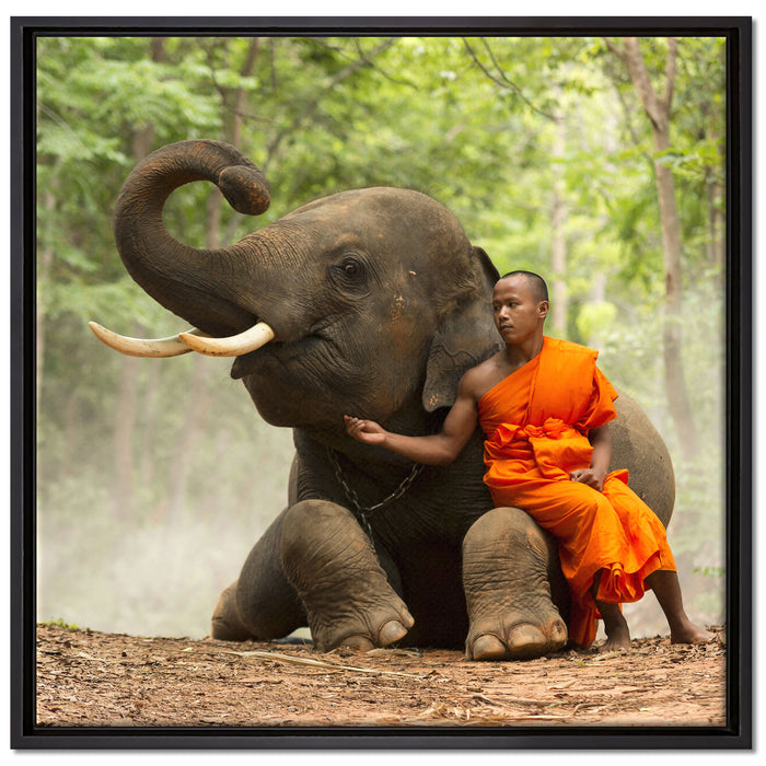 Mönch Elefanten Wald auf Leinwandbild Quadratisch gerahmt Größe 70x70