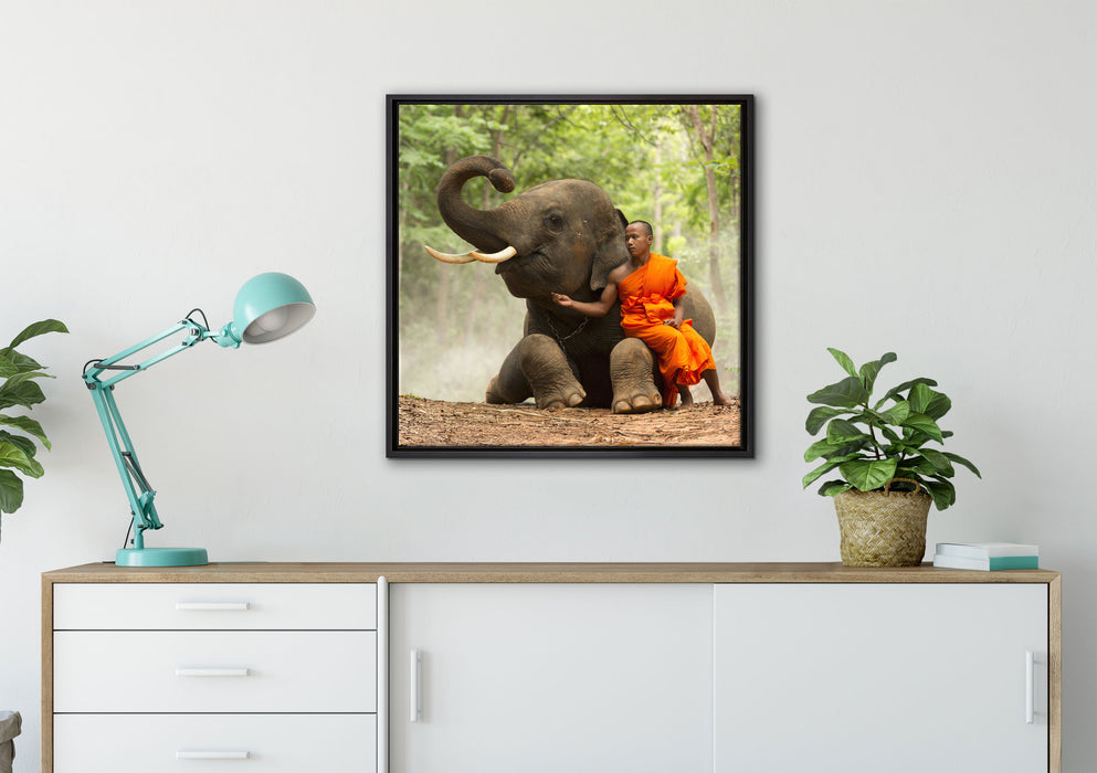 Mönch Elefanten Wald auf Leinwandbild gerahmt Quadratisch verschiedene Größen im Wohnzimmer