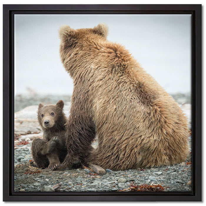 Bär mit Baby nach dem Baden auf Leinwandbild Quadratisch gerahmt Größe 40x40