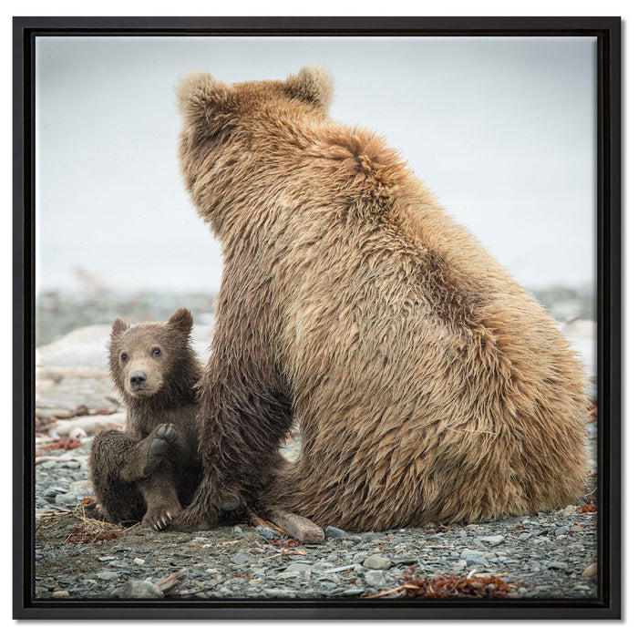 Bär mit Baby nach dem Baden auf Leinwandbild Quadratisch gerahmt Größe 60x60