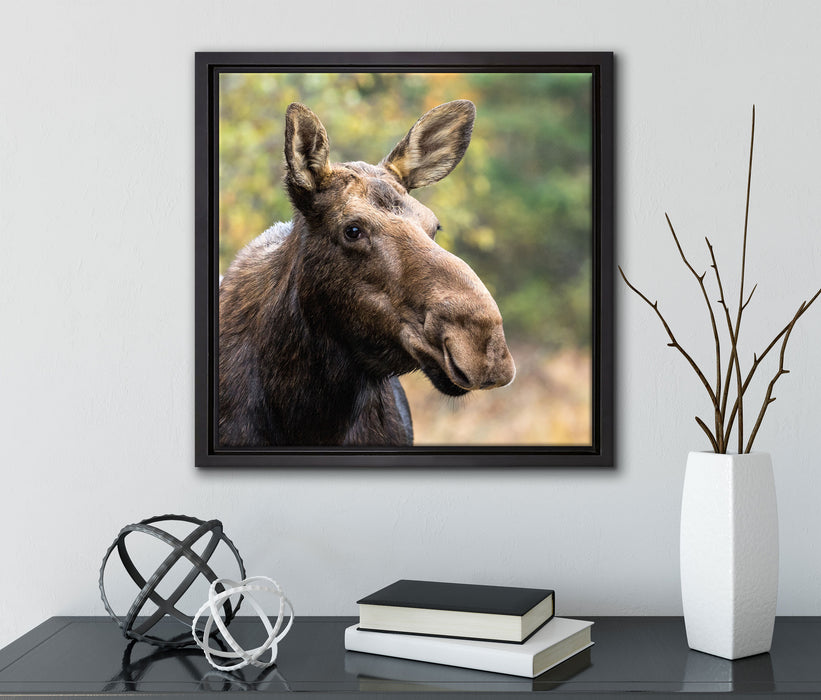 Elch im Wald  auf Leinwandbild Quadratisch gerahmt mit Kirschblüten
