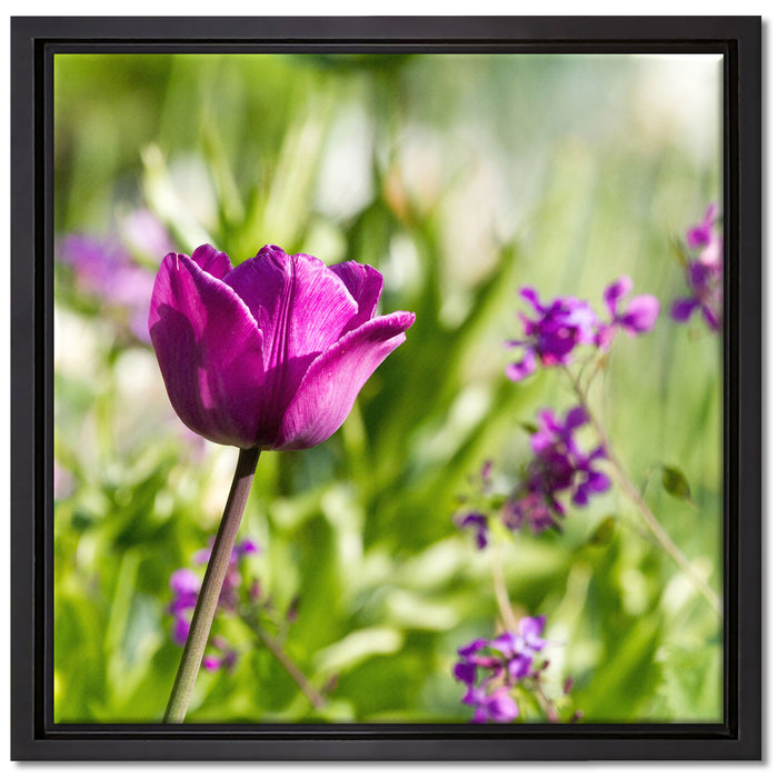 Blumen im Sonnenschein auf Leinwandbild Quadratisch gerahmt Größe 40x40