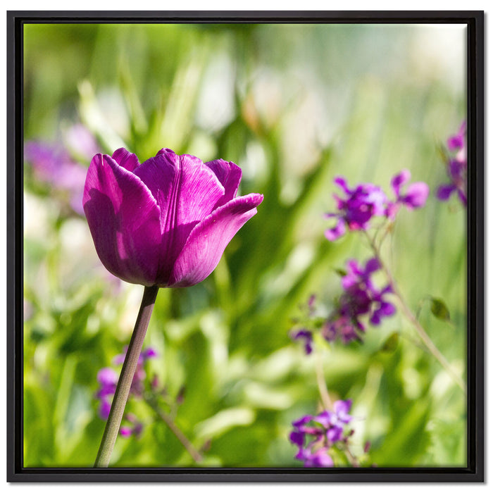 Blumen im Sonnenschein auf Leinwandbild Quadratisch gerahmt Größe 70x70