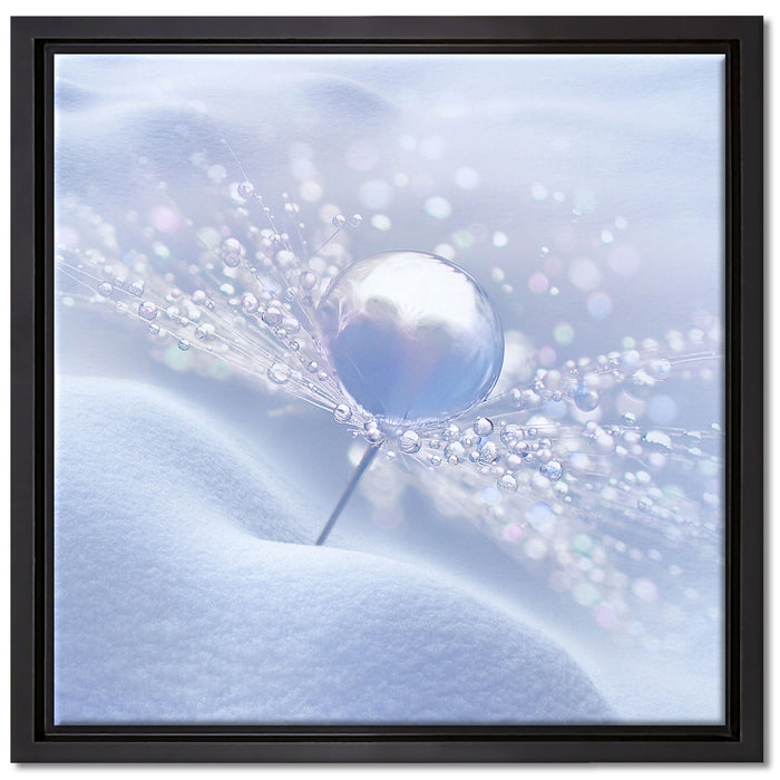 Tautropfen auf Pusteblume auf Leinwandbild Quadratisch gerahmt Größe 40x40