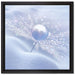 Tautropfen auf Pusteblume auf Leinwandbild Quadratisch gerahmt Größe 40x40