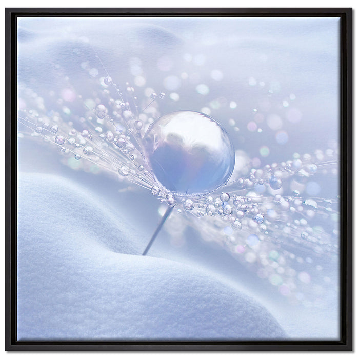 Tautropfen auf Pusteblume auf Leinwandbild Quadratisch gerahmt Größe 70x70
