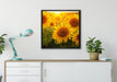 Sonnenblumen auf dem Feld auf Leinwandbild gerahmt Quadratisch verschiedene Größen im Wohnzimmer
