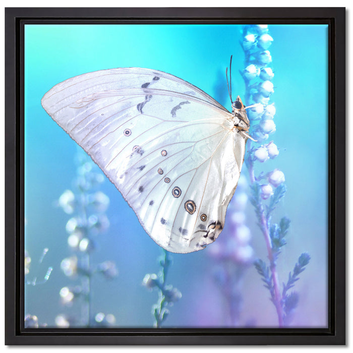 Schmetterling auf Blütenknospen auf Leinwandbild Quadratisch gerahmt Größe 40x40