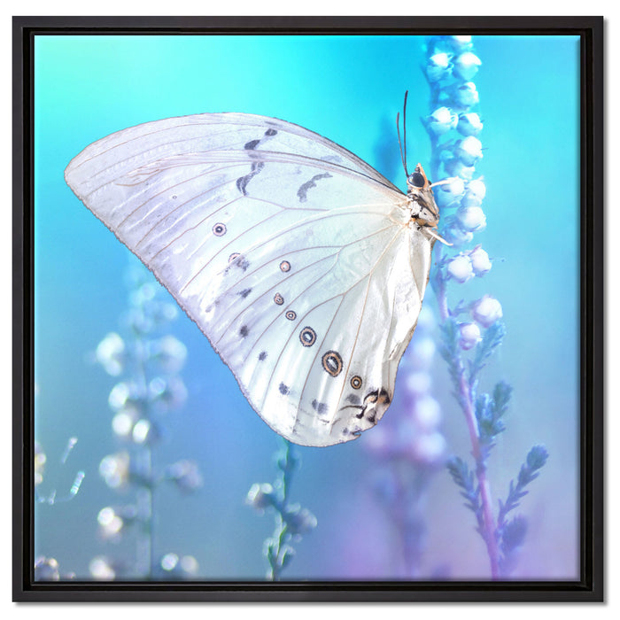 Schmetterling auf Blütenknospen auf Leinwandbild Quadratisch gerahmt Größe 60x60