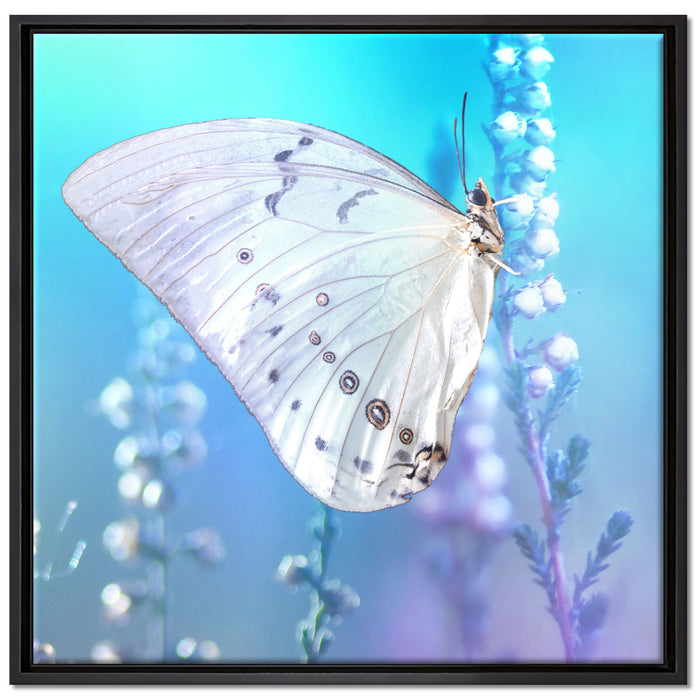 Schmetterling auf Blütenknospen auf Leinwandbild Quadratisch gerahmt Größe 70x70
