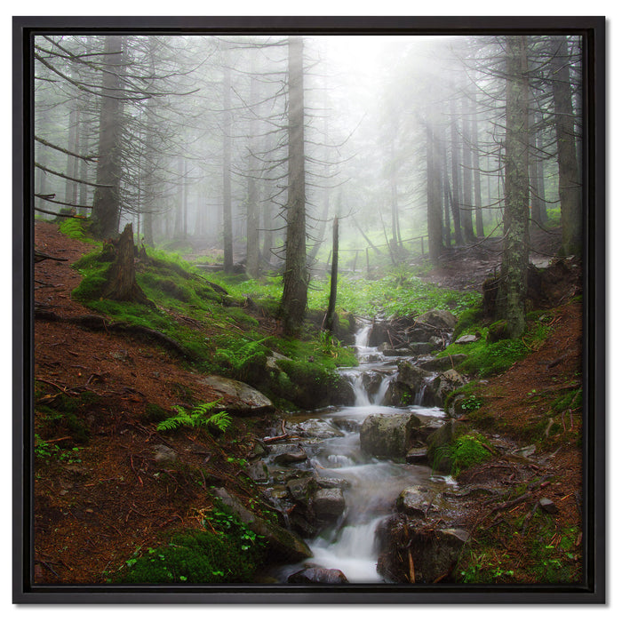Bach im Wald auf Leinwandbild Quadratisch gerahmt Größe 60x60