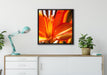 orange Lilie in Nahaufnahme auf Leinwandbild gerahmt Quadratisch verschiedene Größen im Wohnzimmer
