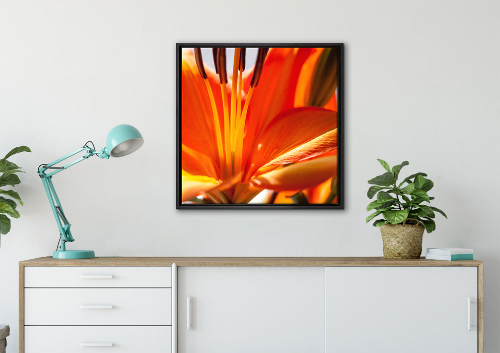 orange Lilie in Nahaufnahme auf Leinwandbild gerahmt Quadratisch verschiedene Größen im Wohnzimmer