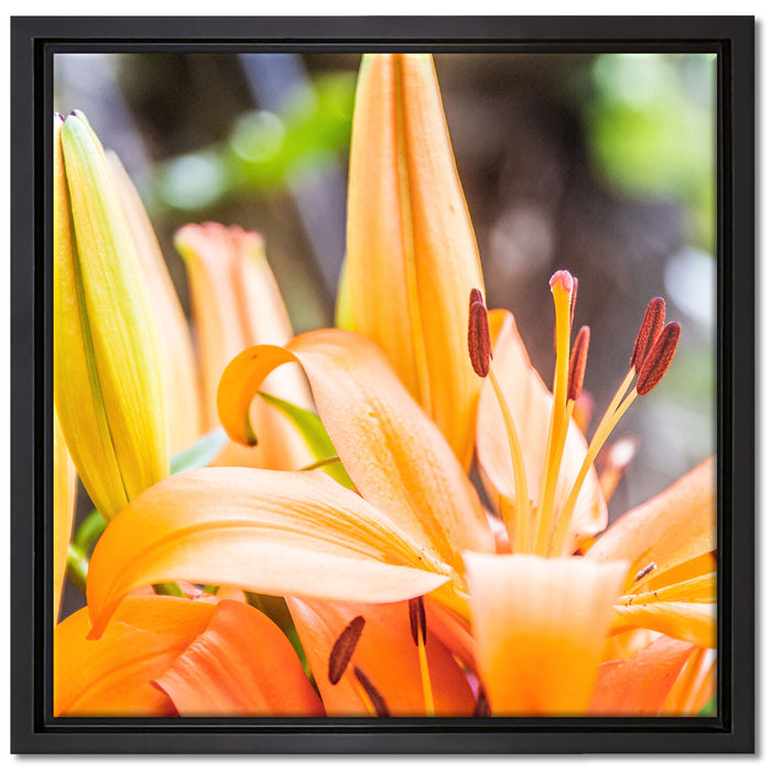 schöne orangene Lilien auf Leinwandbild Quadratisch gerahmt Größe 40x40