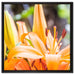 schöne orangene Lilien auf Leinwandbild Quadratisch gerahmt Größe 60x60