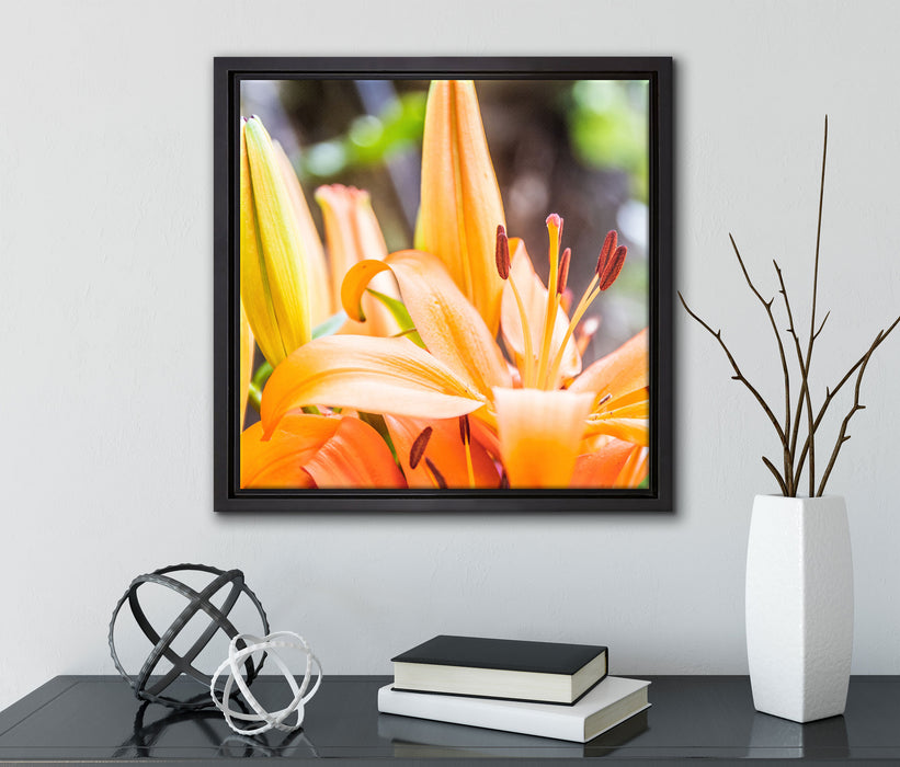 schöne orangene Lilien  auf Leinwandbild Quadratisch gerahmt mit Kirschblüten