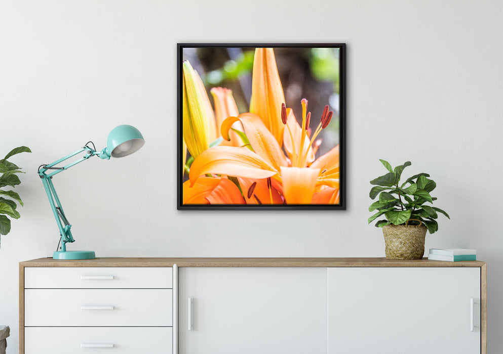 schöne orangene Lilien auf Leinwandbild gerahmt Quadratisch verschiedene Größen im Wohnzimmer