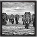 Elefanten Familie in der Savanne auf Leinwandbild Quadratisch gerahmt Größe 40x40