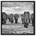 Elefanten Familie in der Savanne auf Leinwandbild Quadratisch gerahmt Größe 60x60