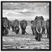 Elefanten Familie in der Savanne auf Leinwandbild Quadratisch gerahmt Größe 70x70