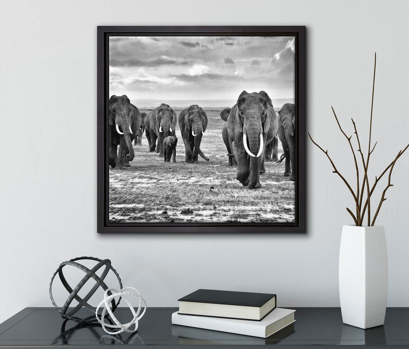 Elefanten Familie in der Savanne  auf Leinwandbild Quadratisch gerahmt mit Kirschblüten