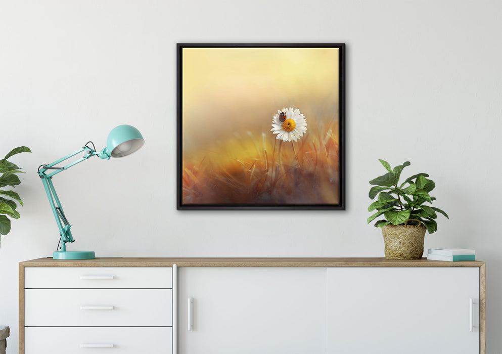 Gänseblümchen mit Marienkäfer auf Leinwandbild gerahmt Quadratisch verschiedene Größen im Wohnzimmer