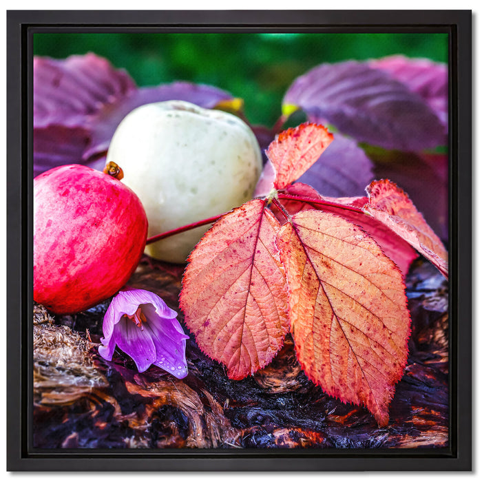 Äpfel und Blätter im Herbst auf Leinwandbild Quadratisch gerahmt Größe 40x40