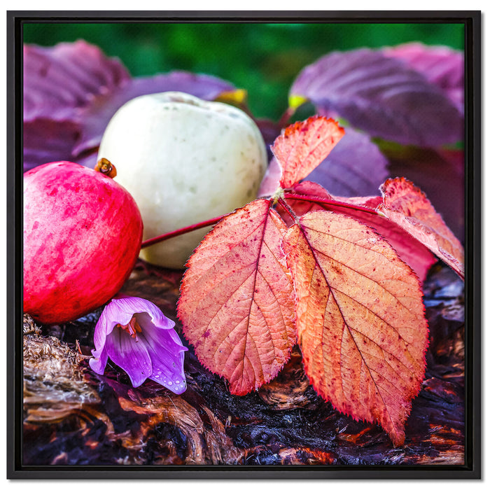 Äpfel und Blätter im Herbst auf Leinwandbild Quadratisch gerahmt Größe 70x70