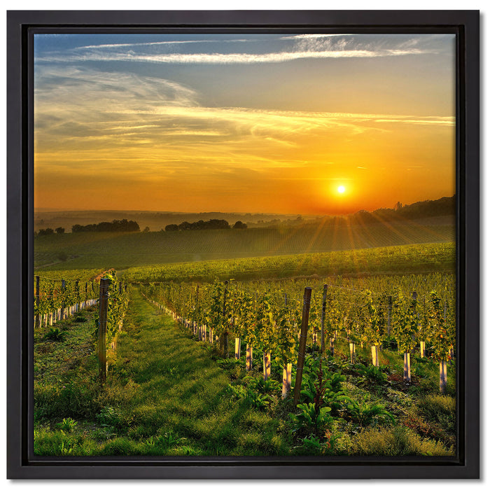 Weinberg in Bergerac Frankreich auf Leinwandbild Quadratisch gerahmt Größe 40x40