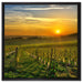 Weinberg in Bergerac Frankreich auf Leinwandbild Quadratisch gerahmt Größe 60x60