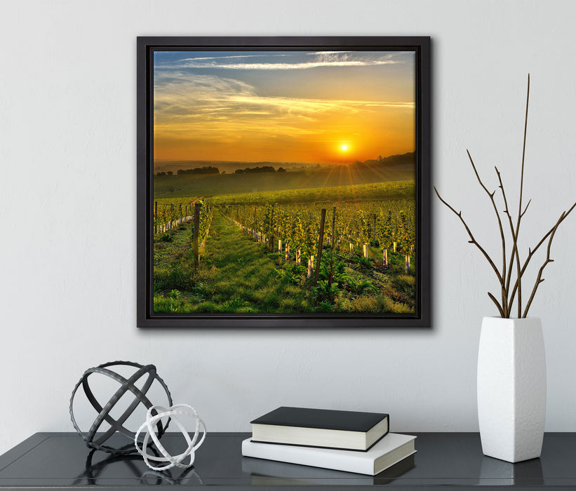 Weinberg in Bergerac Frankreich  auf Leinwandbild Quadratisch gerahmt mit Kirschblüten