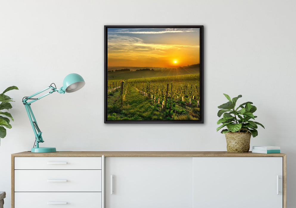 Weinberg in Bergerac Frankreich auf Leinwandbild gerahmt Quadratisch verschiedene Größen im Wohnzimmer