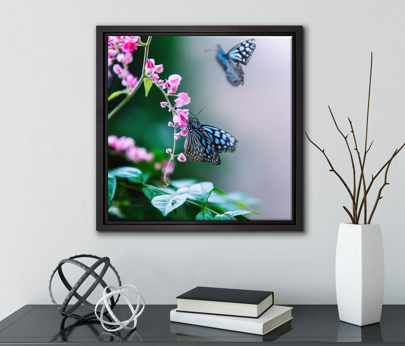 Schmetterlinge auf rosa Blumen  auf Leinwandbild Quadratisch gerahmt mit Kirschblüten
