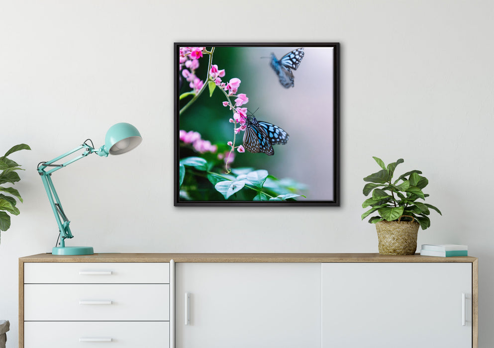 Schmetterlinge auf rosa Blumen auf Leinwandbild gerahmt Quadratisch verschiedene Größen im Wohnzimmer