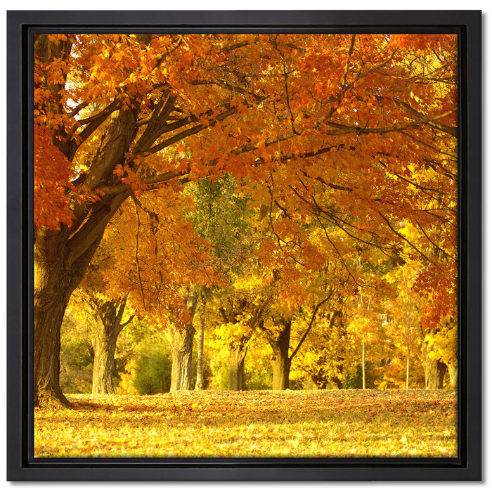 schöne Herbstlandschaft auf Leinwandbild Quadratisch gerahmt Größe 40x40