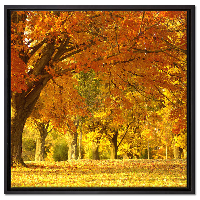schöne Herbstlandschaft auf Leinwandbild Quadratisch gerahmt Größe 60x60