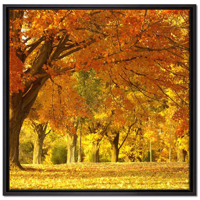 schöne Herbstlandschaft auf Leinwandbild Quadratisch gerahmt Größe 70x70