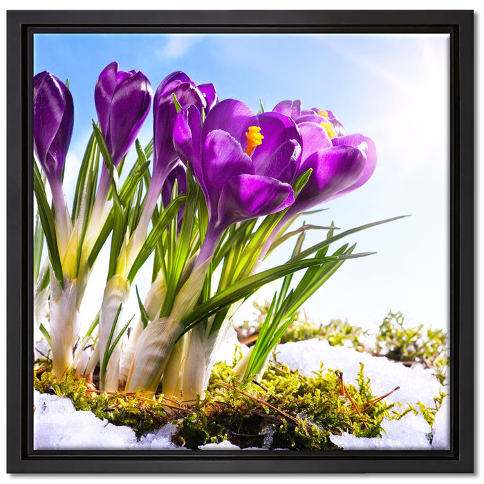 Kunst Frühling flower Hintergrund auf Leinwandbild Quadratisch gerahmt Größe 40x40