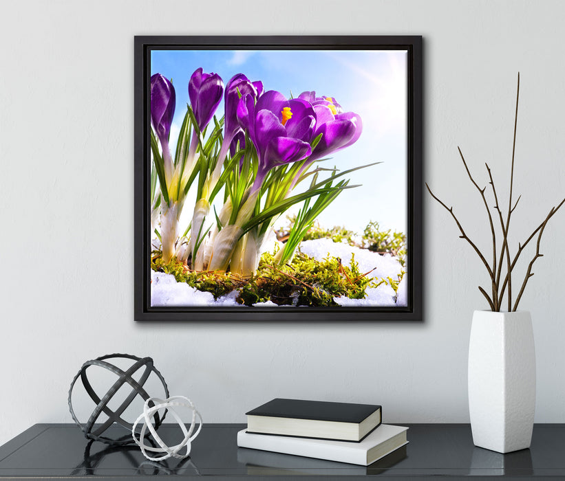 Kunst Frühling flower Hintergrund  auf Leinwandbild Quadratisch gerahmt mit Kirschblüten