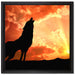 Wolf Heulen auf Leinwandbild Quadratisch gerahmt Größe 40x40