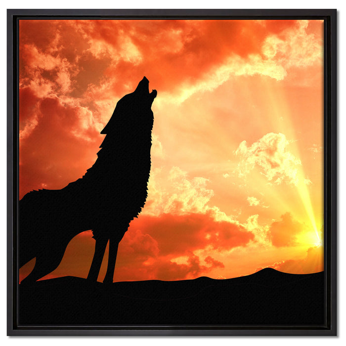 Wolf Heulen auf Leinwandbild Quadratisch gerahmt Größe 60x60