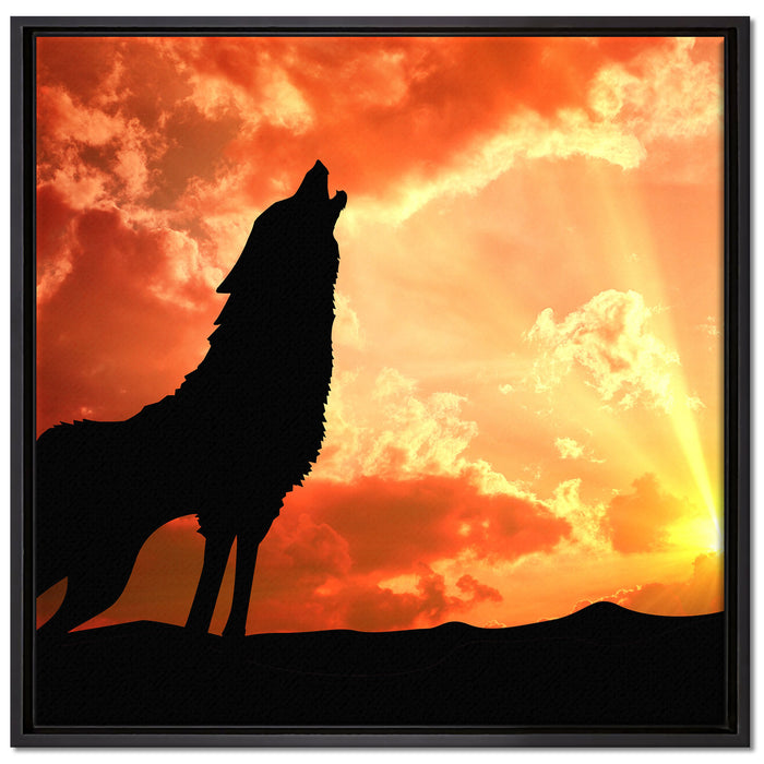 Wolf Heulen auf Leinwandbild Quadratisch gerahmt Größe 70x70