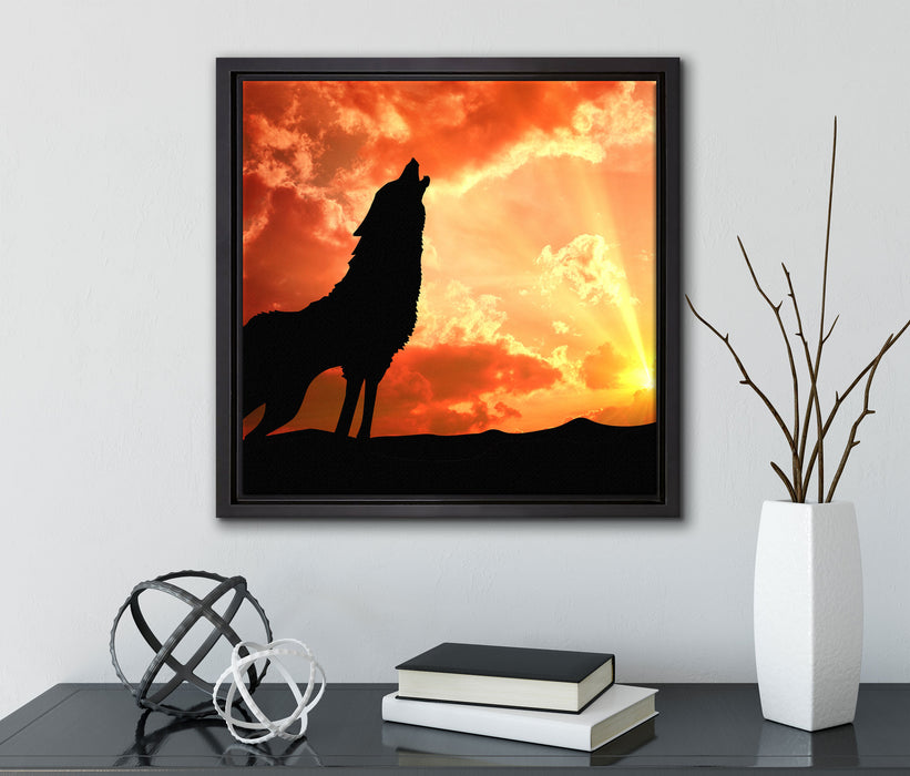 Wolf Heulen  auf Leinwandbild Quadratisch gerahmt mit Kirschblüten